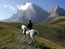 Escursioni in mountain-bike